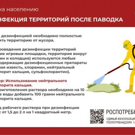 dez_ia_territorii_posle_pavodka.jpg