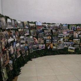 P2430130.JPG