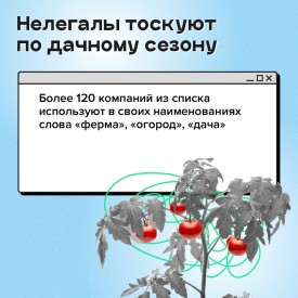 1_2__1.jpg