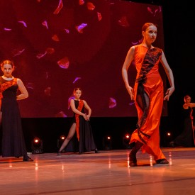 koncertZivi_Lubi_Tancuj_28920250421194009.JPG